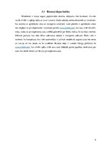 Biznesa plāns 'Auto īres platforma privātpersonām', 9.