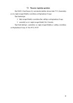 Biznesa plāns 'Auto īres platforma privātpersonām', 19.