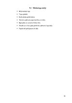 Biznesa plāns 'Auto īres platforma privātpersonām', 30.