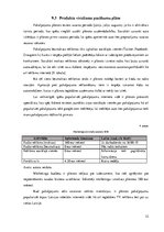 Biznesa plāns 'Auto īres platforma privātpersonām', 32.