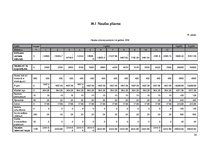 Biznesa plāns 'Auto īres platforma privātpersonām', 34.