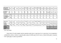 Biznesa plāns 'Auto īres platforma privātpersonām', 35.