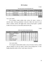 Biznesa plāns 'Auto īres platforma privātpersonām', 38.