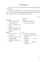 Biznesa plāns 'Auto īres platforma privātpersonām', 39.