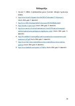 Biznesa plāns 'Auto īres platforma privātpersonām', 40.