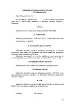 Biznesa plāns 'Auto īres platforma privātpersonām', 42.