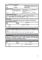 Biznesa plāns 'Auto īres platforma privātpersonām', 45.