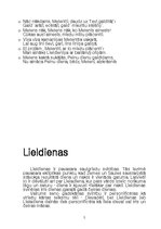 Referāts 'Latviešu gadskārtu ieražas', 5.