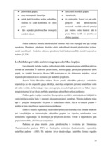 Referāts 'Sabiedrības vadība', 18.