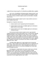 Eseja 'Rotācijas ķermenis - lode. Lampu kupoli', 1.