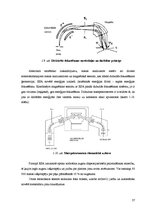 Diplomdarbs 'Policiklisko aromātisko ogļūdeņražu noteikšana pārtikas eļļās ar gāzu hromatogrā', 37.