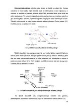 Diplomdarbs 'Policiklisko aromātisko ogļūdeņražu noteikšana pārtikas eļļās ar gāzu hromatogrā', 40.