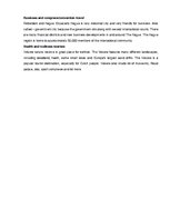 Referāts 'Description of Tourism Situation in Netherlands', 9.