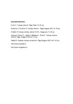 Konspekts 'Kurši no 5. līdz 12.gadsimtam', 4.