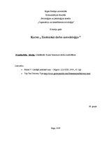 Referāts 'Uzstāšanās. Kursa/bakalaura darba aizstāvēšana', 4.