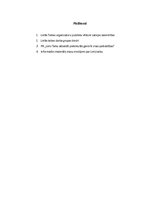 Eseja 'Sabiedrisko attiecību loma vides aizsardzības kampaņā "Lielā talka"', 8.