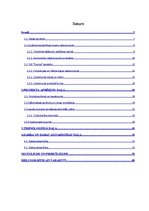 Diplomdarbs 'Jauna produkta ieviešana tirgū', 4.