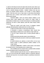 Diplomdarbs 'Jauna produkta ieviešana tirgū', 6.