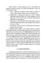 Diplomdarbs 'Jauna produkta ieviešana tirgū', 16.