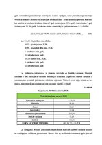Diplomdarbs 'Jauna produkta ieviešana tirgū', 26.