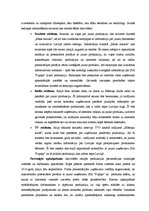 Diplomdarbs 'Jauna produkta ieviešana tirgū', 33.