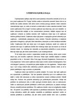 Diplomdarbs 'Jauna produkta ieviešana tirgū', 42.