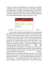 Diplomdarbs 'Jauna produkta ieviešana tirgū', 46.