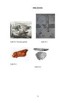 Referāts 'Neolīta laika apmetnes Latvijas teritorijā', 13.