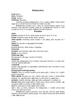 Referāts 'Skudras', 16.