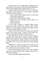 Diplomdarbs 'Komercbanku un nebanku iestāžu kredītdarbības analīze', 24.