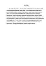 Referāts 'Minimālisma stilā ierīkots mājoklis', 1.