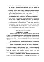 Referāts 'Apvienoto Nāciju Tūkstošgades deklarācija', 3.