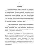 Referāts 'Krimināltiesības', 11.