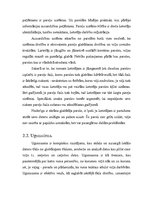 Referāts 'Informācijas aizsardzība uzņēmumā', 13.