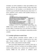 Referāts 'Informācijas aizsardzība uzņēmumā', 23.