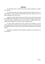 Diplomdarbs 'Role of Band Strategy Development in European Airline Industry', 3.