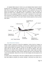 Diplomdarbs 'Role of Band Strategy Development in European Airline Industry', 34.