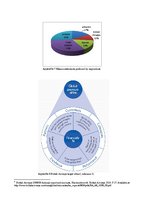 Diplomdarbs 'Role of Band Strategy Development in European Airline Industry', 49.