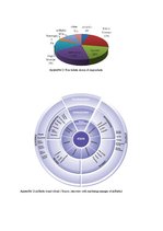 Diplomdarbs 'Role of Band Strategy Development in European Airline Industry', 51.