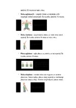 Konspekts 'Fiziskās īpašības un to attīstīšanas vingrinājumi', 5.