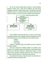 Referāts 'Personāla saimniecība uzņēmumā "X"', 17.