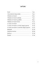 Referāts 'Sitaminstrumenti', 2.