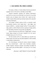 Referāts 'Sitaminstrumenti', 4.