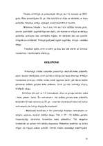 Referāts 'Sitaminstrumenti', 18.