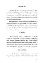 Referāts 'Sitaminstrumenti', 26.