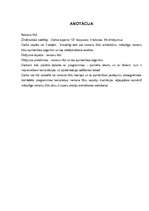 Prezentācija 'Neironu tīkli', 12.