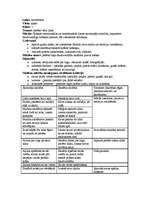 Konspekts 'Stundu plāni vizuālajā mākslā sākumskolā', 1.