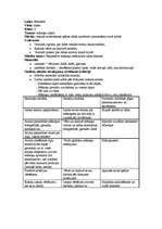 Konspekts 'Stundu plāni vizuālajā mākslā sākumskolā', 2.