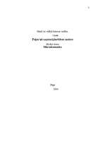 Referāts 'Peļņa kā uzņēmējdarbības motivācija', 1.