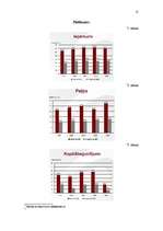 Referāts 'Peļņa kā uzņēmējdarbības motivācija', 13.